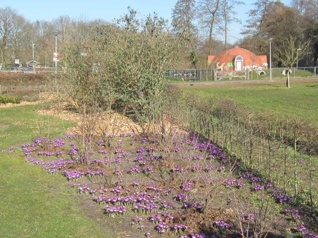 6 zicht op de KIBo